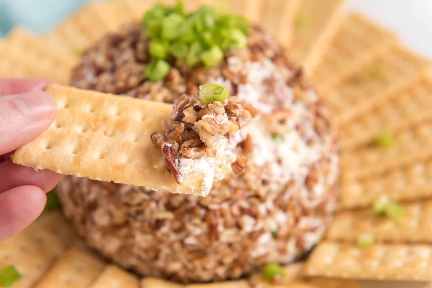 close up of beef and onion cheese dip on a cracker.