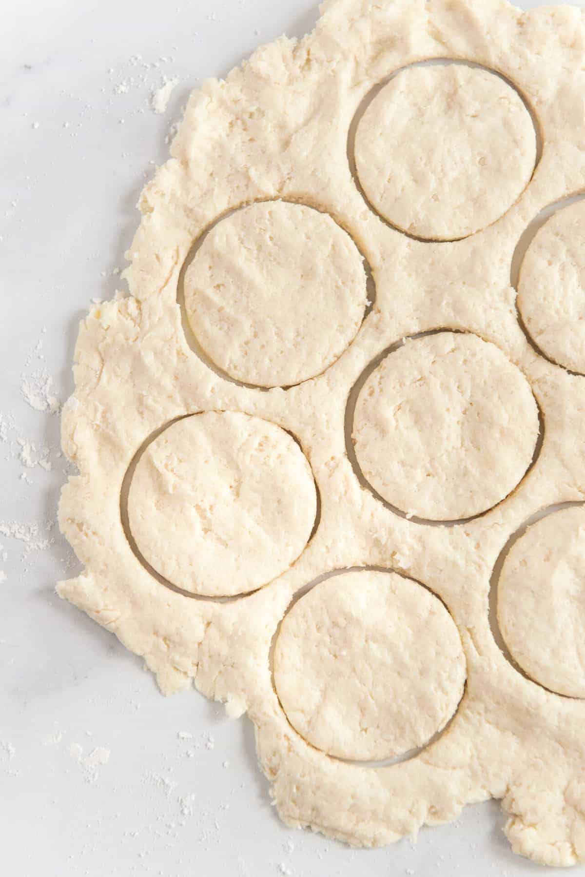 dough spread out with round circles cut into it.