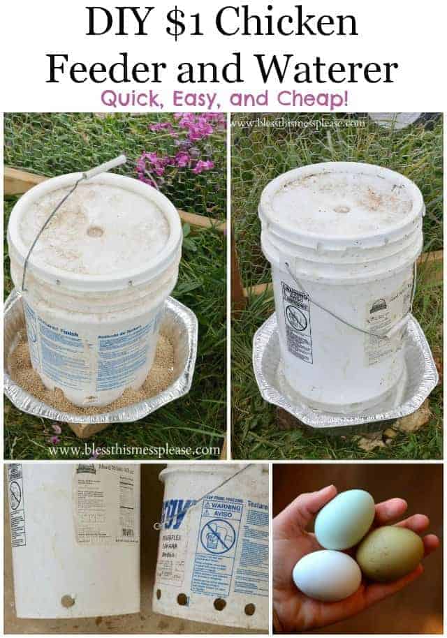 DIY Chicken Waterer and Feeder From 5-Gallon Buckets.