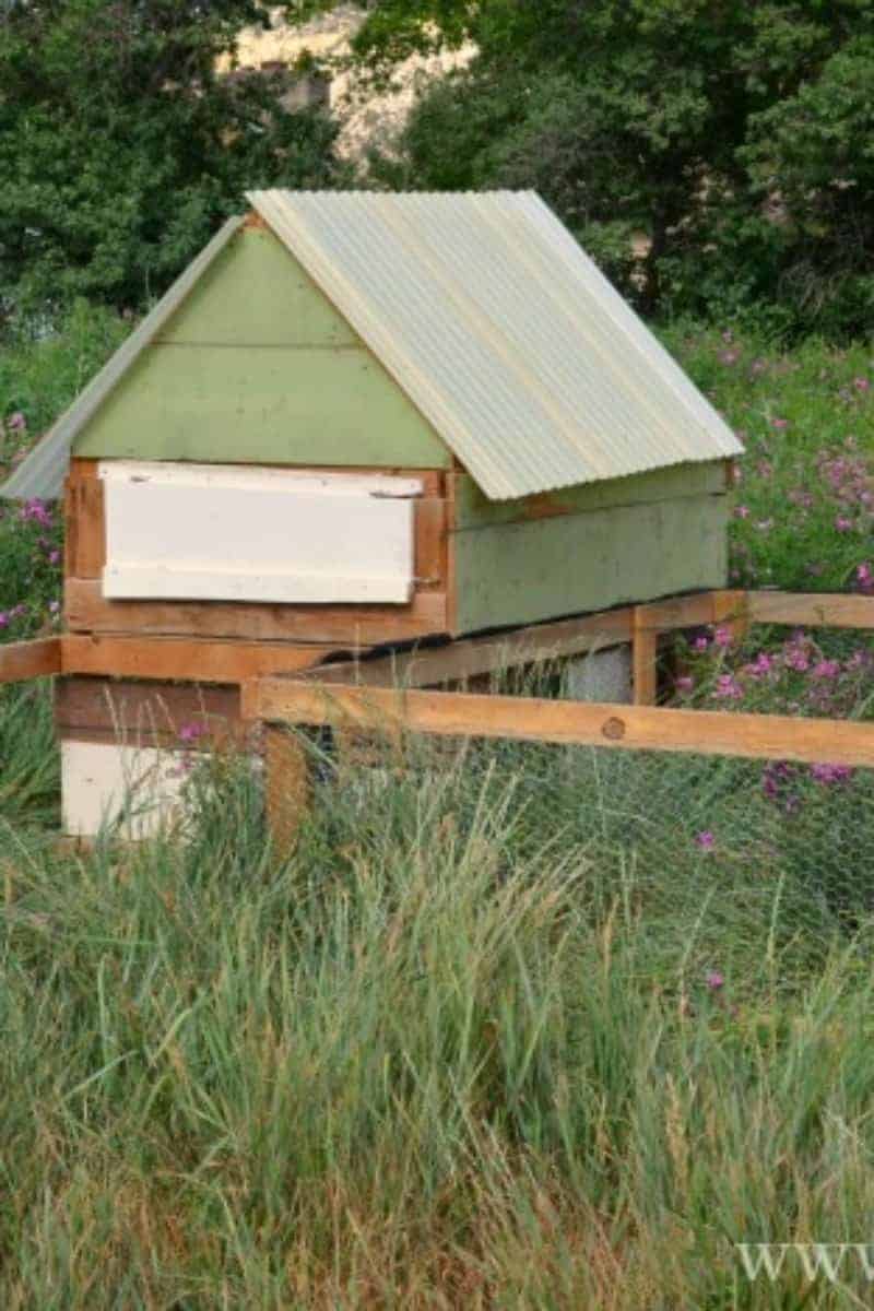 A green and wood chicken coop with an adjoining fenced-in outdoor space in a grassy field.