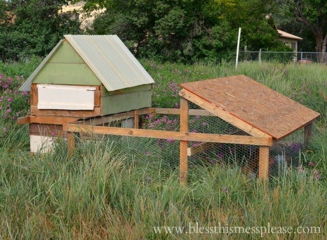 DIY chicken run portable