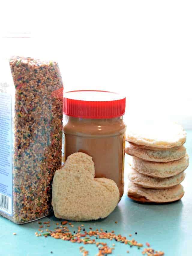 Simple DIY Bird Feeder that is fun to make and a blast to watch the birdies enjoy