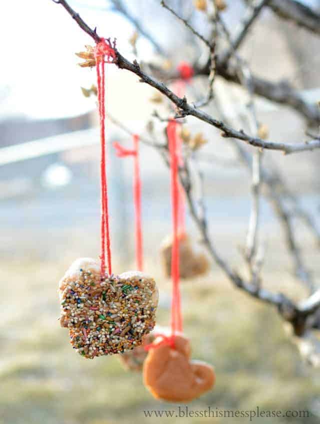 Simple DIY Bird Feeder that is fun to make and a blast to watch the birdies enjoy