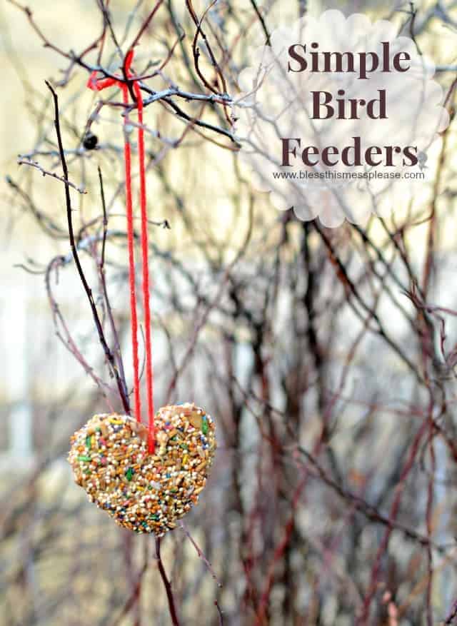 Simple DIY Bird Feeder that is fun to make and a blast to watch the birdies enjoy