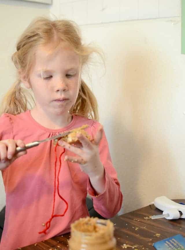 Simple DIY Bird Feeder that is fun to make and a blast to watch the birdies enjoy