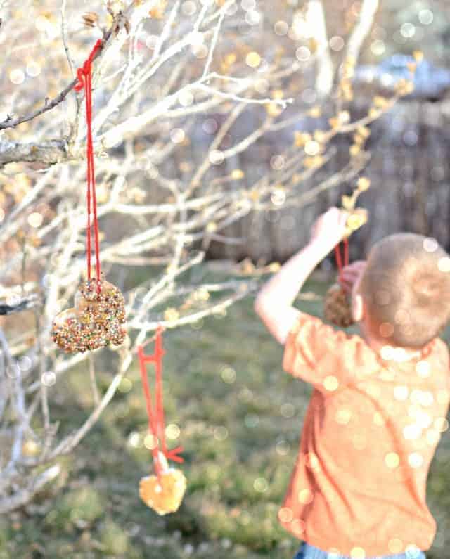 Simple DIY Bird Feeder that is fun to make and a blast to watch the birdies enjoy