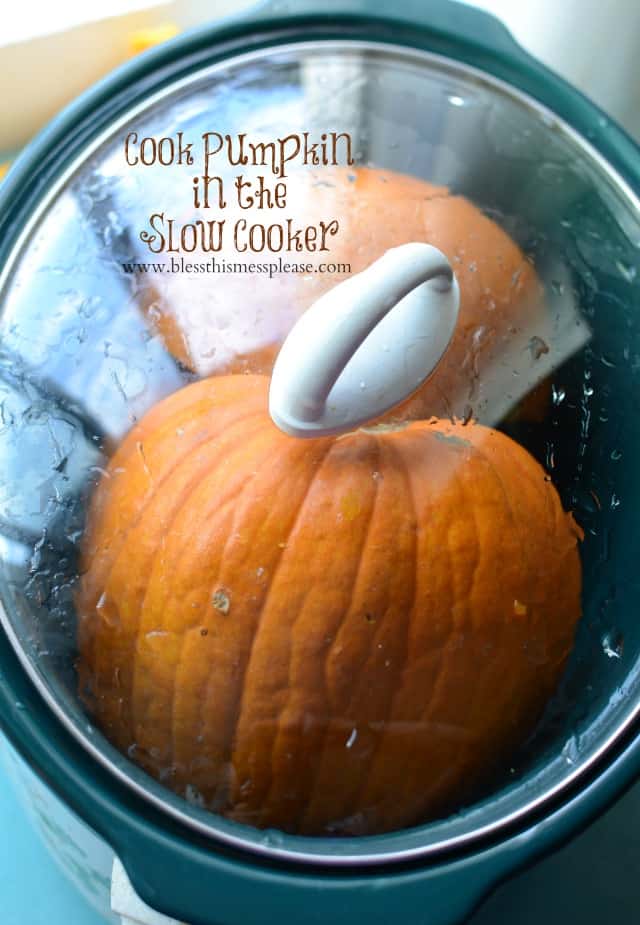Top view of Pumpkin in the Slow Cooker.