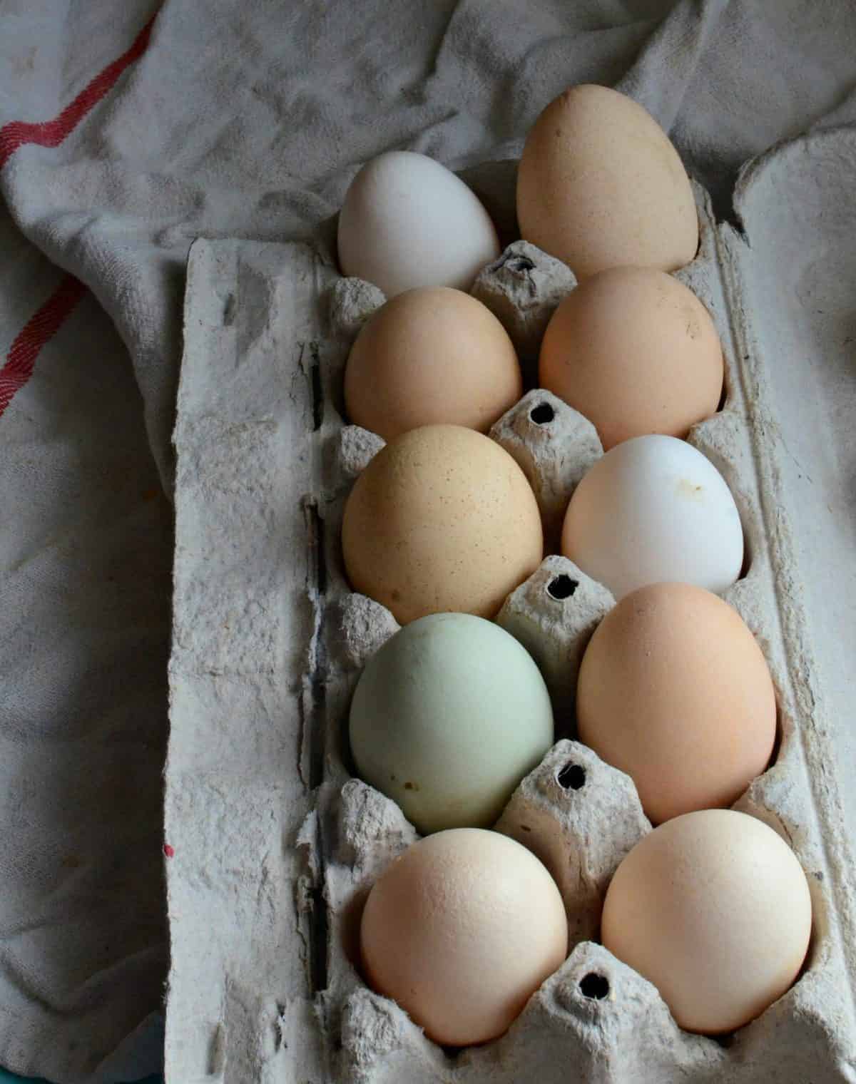 A dozen green, brown, and white eggs in an egg carton.