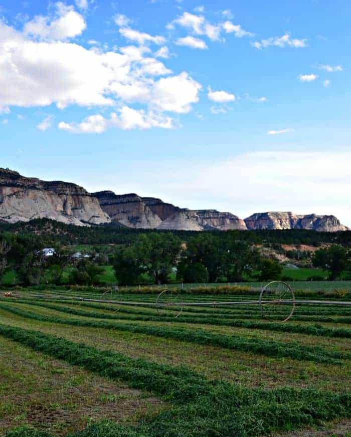 farm7