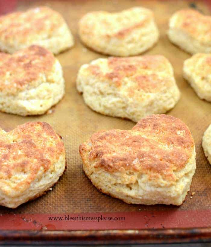 This tried and true recipe for Basic Biscuits is the last you'll ever need because they are buttery fluffy perfection that turn out every time.