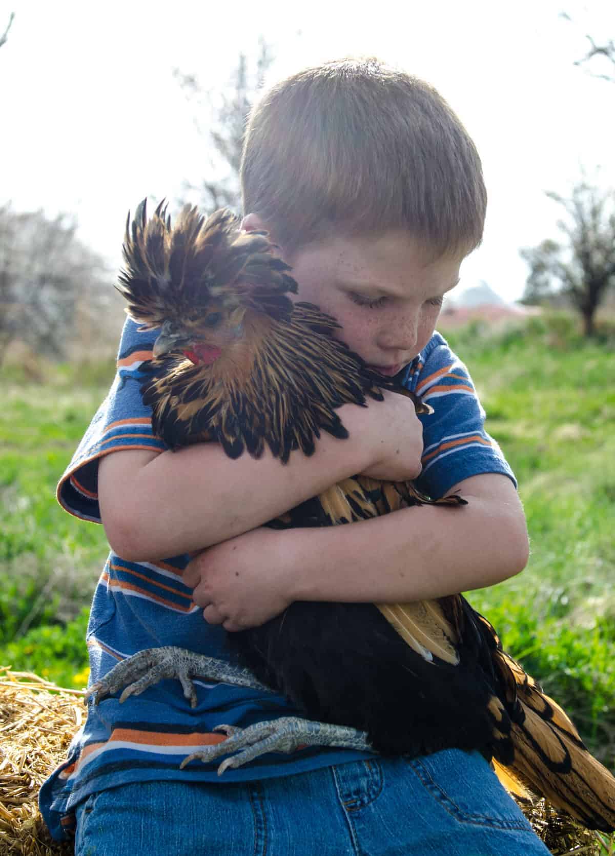A little boy sitting on a bale of straw hugging a chicken.