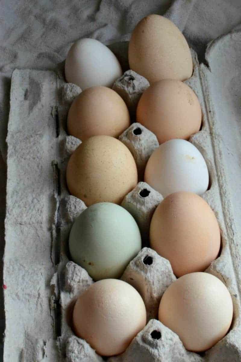 Top view close up of a dozen eggs of varying colors in a cardboard carton