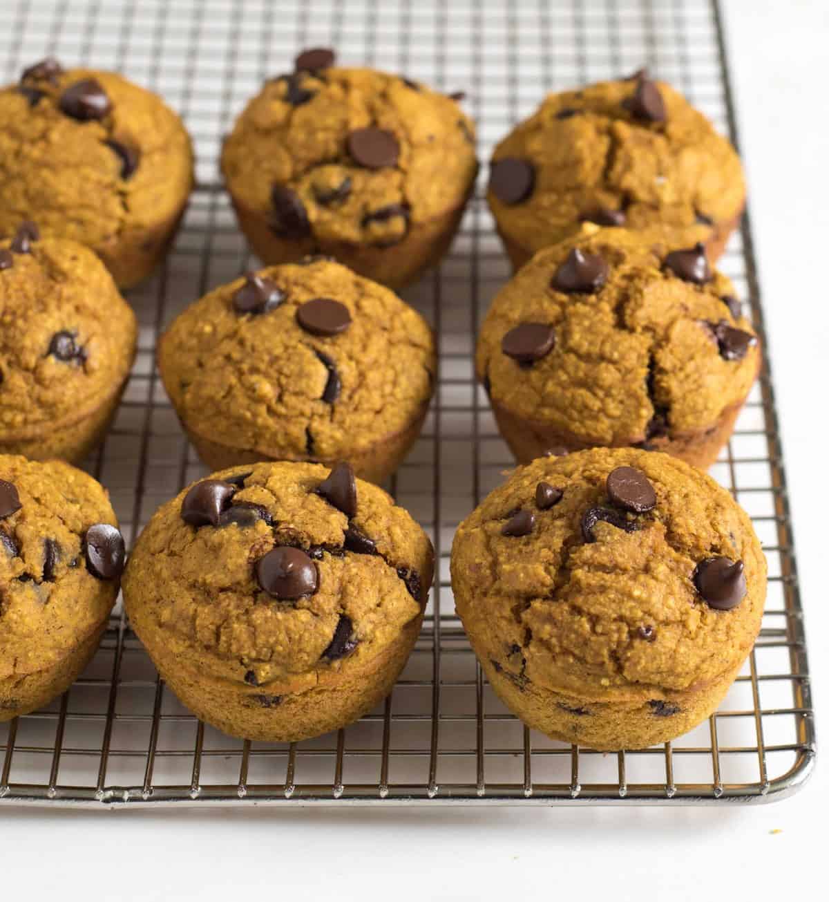Healthy Pumpkin Blender Muffins with chocolate chips on a wire cooling rack.