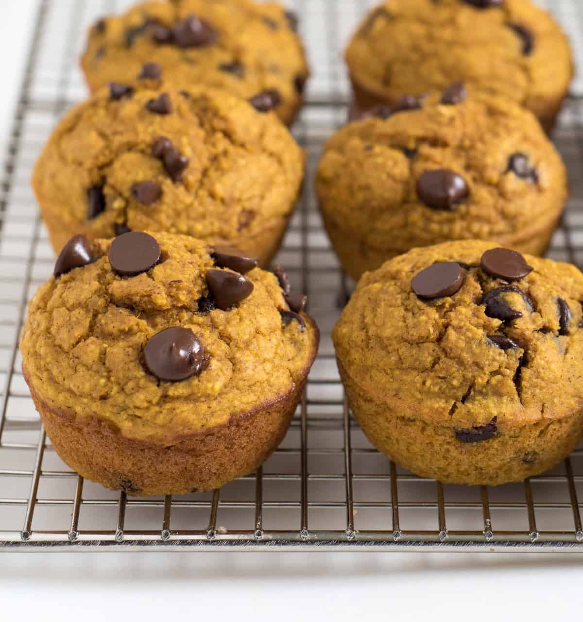 Six pumpkin and chocolate chip muffins are cooling on a wire rack, their golden-brown tops dotted with melty chocolate chips. The muffins have a soft, moist texture, with rich chocolate visible on every side.
