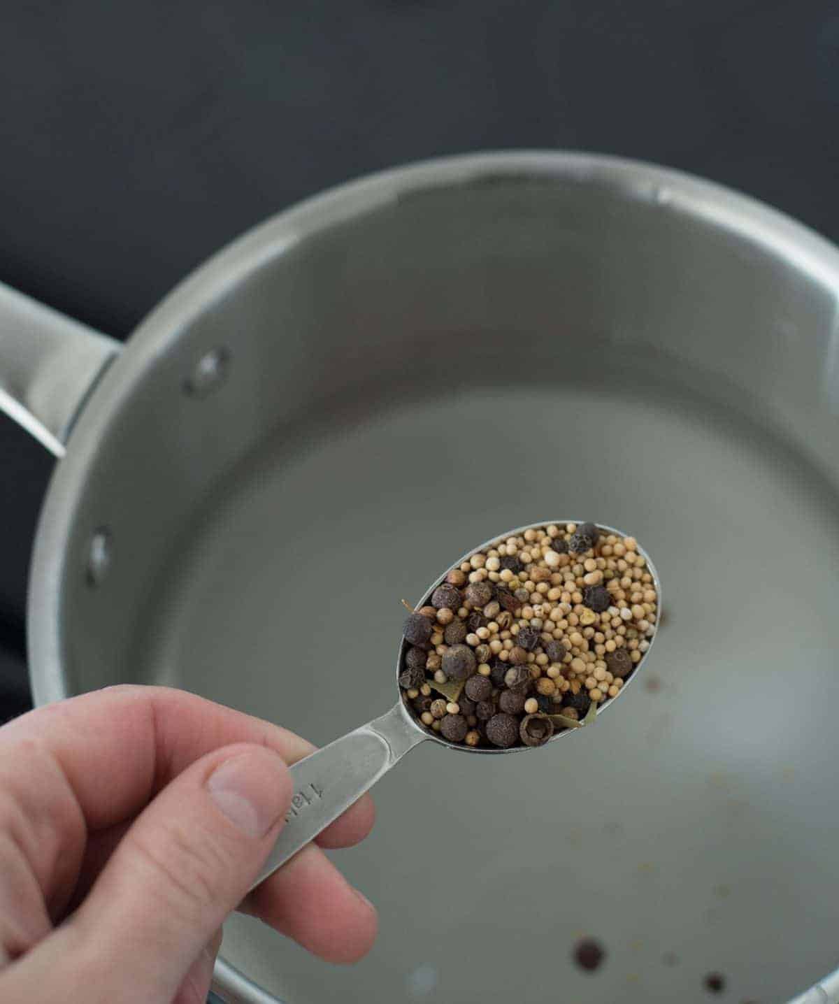 A hand holding a tablespoon filled with pickling spice.