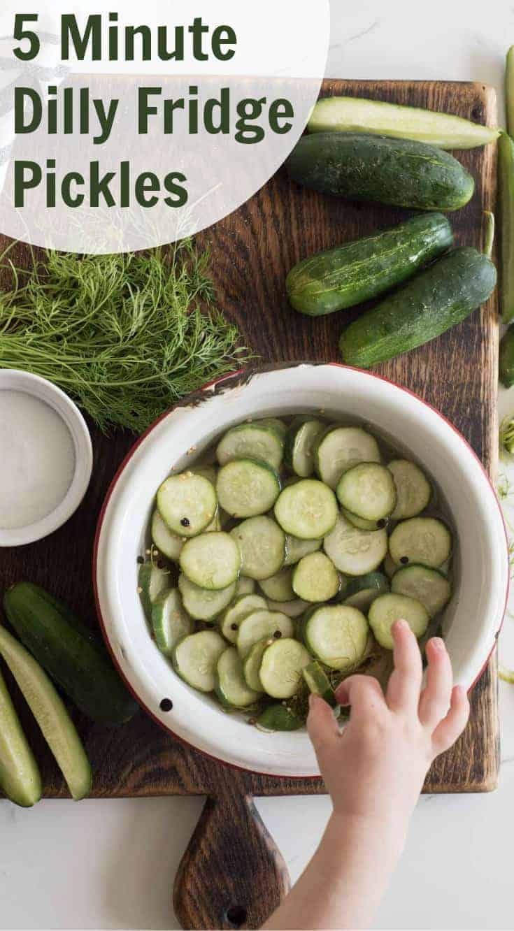 Quick Dilly Cucumbers in Vinegar are also called quick refrigerator pickles made with fresh cucumbers and a homemade brine. You don't believe how crunchy and perfect these pickles are.