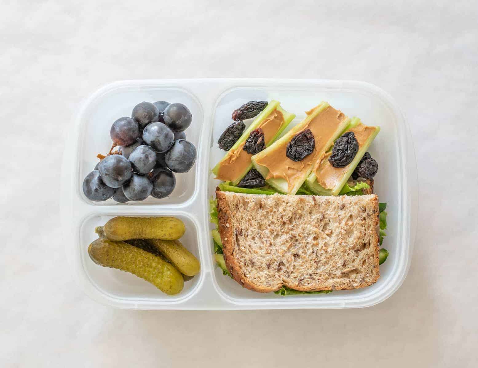 Quick and easy school and adult lunch box ideas made with Sabra Hummus, fruit, vegetables, and more.
