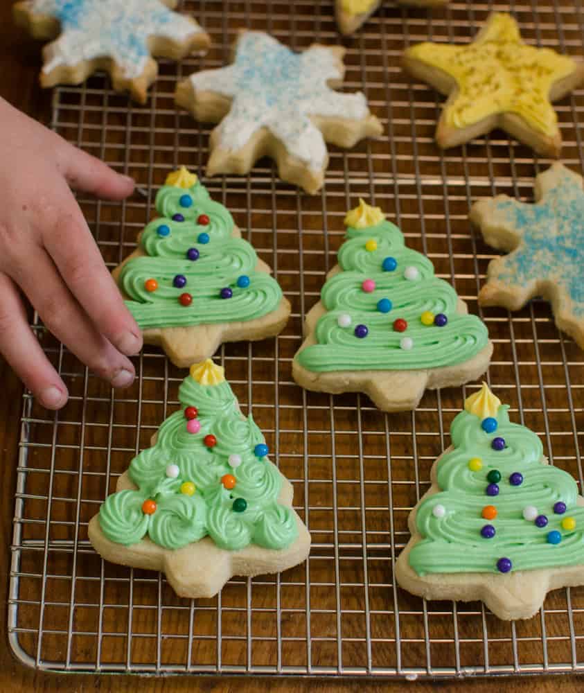 Sugar cookies in the shape of trees and stars.