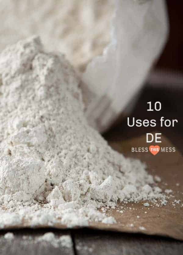 Image of Diatomaceous Earth.
