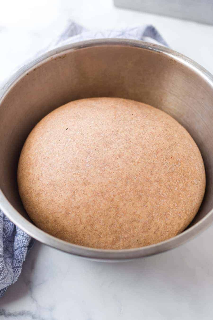 whole wheat bread dough proofed