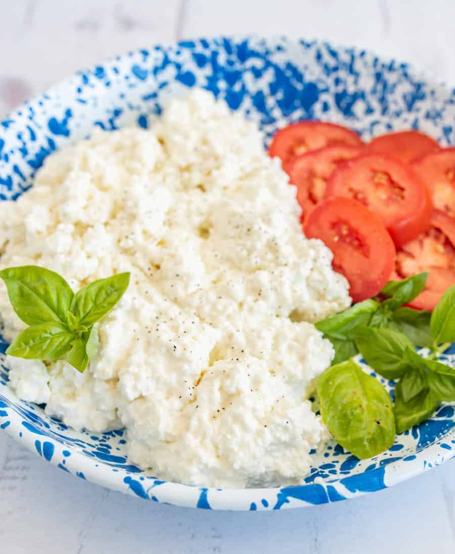 fresh cottage cheese on a blue speckled plate with fresh basil and sliced tomatoes.