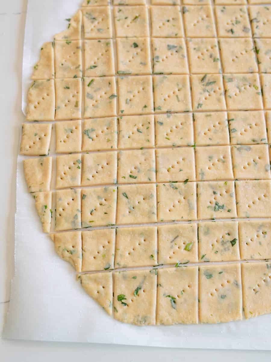A sheet of uncooked sourdough cracker dough rolled out on parchment paper, cut into small squares with fork marks and flecks of green herbs visible.