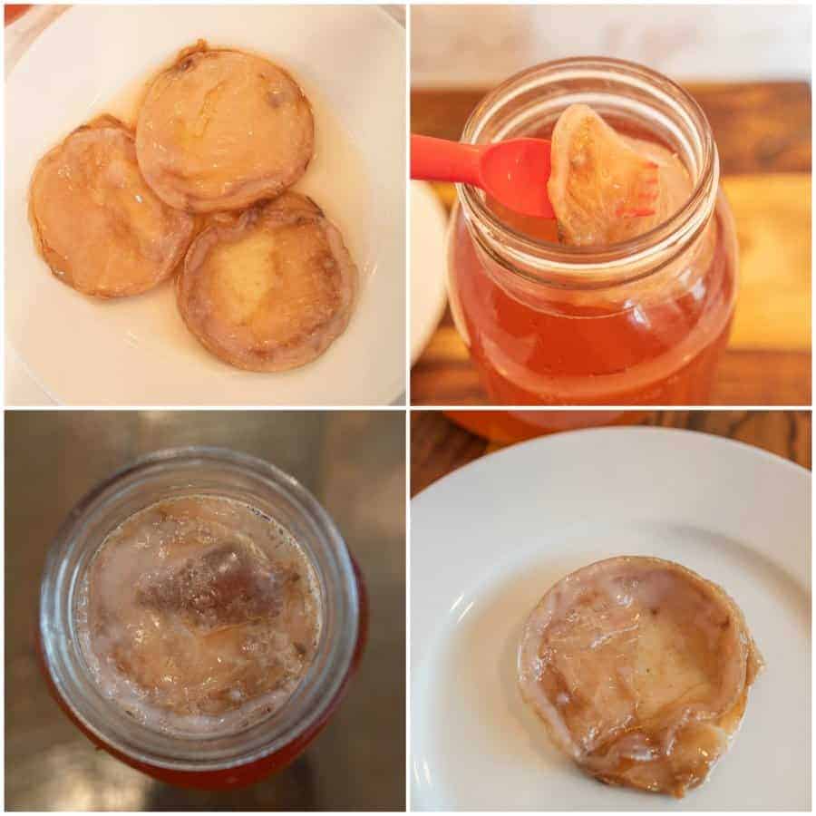 collage of kombucha SCOBY.