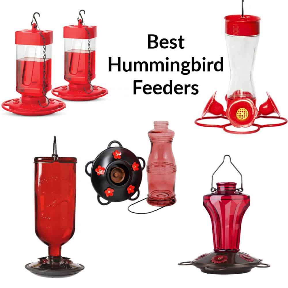 collage of humming bird feeders