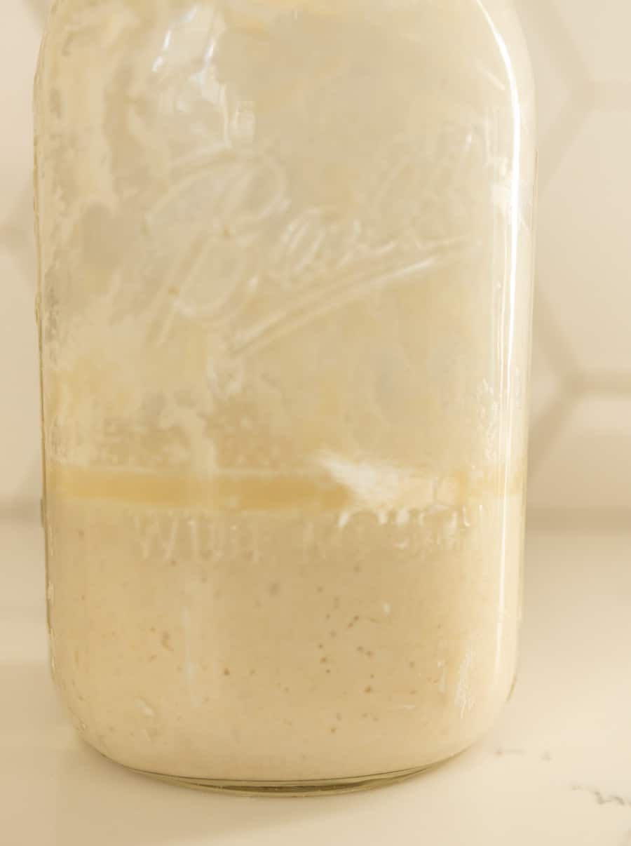 A glass mason jar filled with sourdough starter sits on a light surface, displaying bubbly, creamy layers and a clear separation line—a perfect example of feeding sourdough starter. Condensation forms inside, with a faint “Ball” logo embossed on the jar.