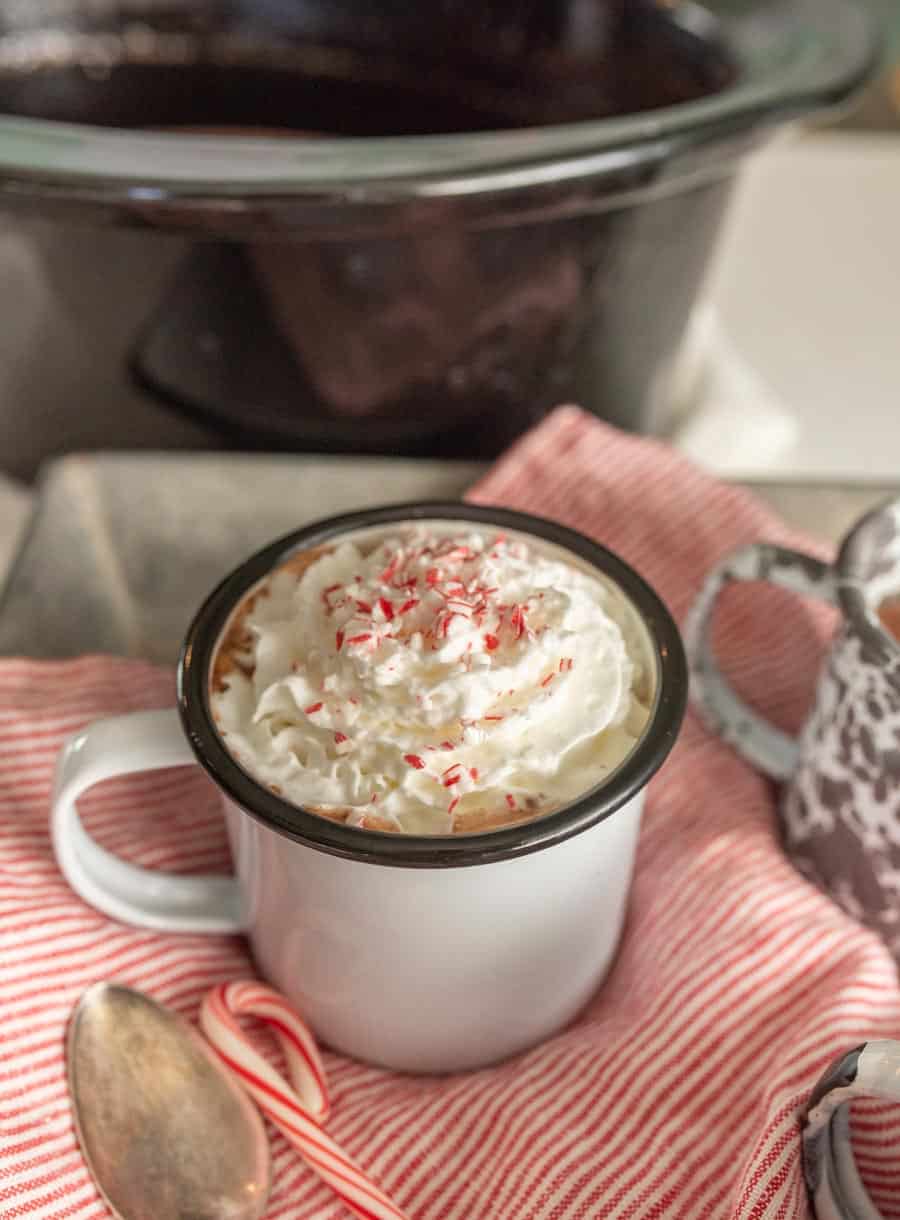 A mug of crock pot hot chocolate with whipped cream and crushed candy canes on top.