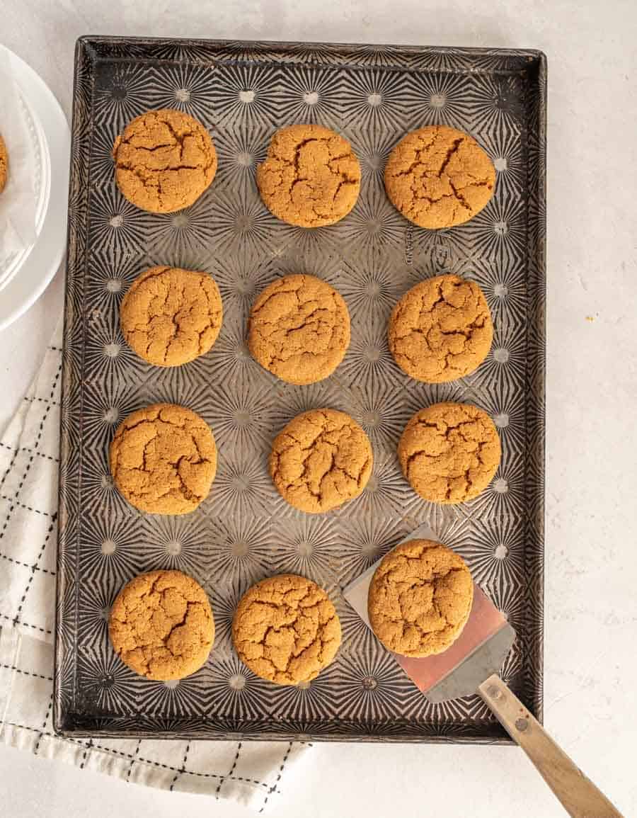 A dozen old fashioned molasses cookies on a baking sheet with a thin metal spatula taking one off the pan.
