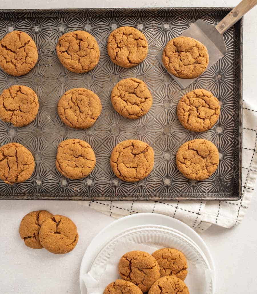 A dozen old fashioned molasses cookies on a baking sheet with one being taken off by a thin metal spatula and there is a white plate with cookies on it in the foreground.