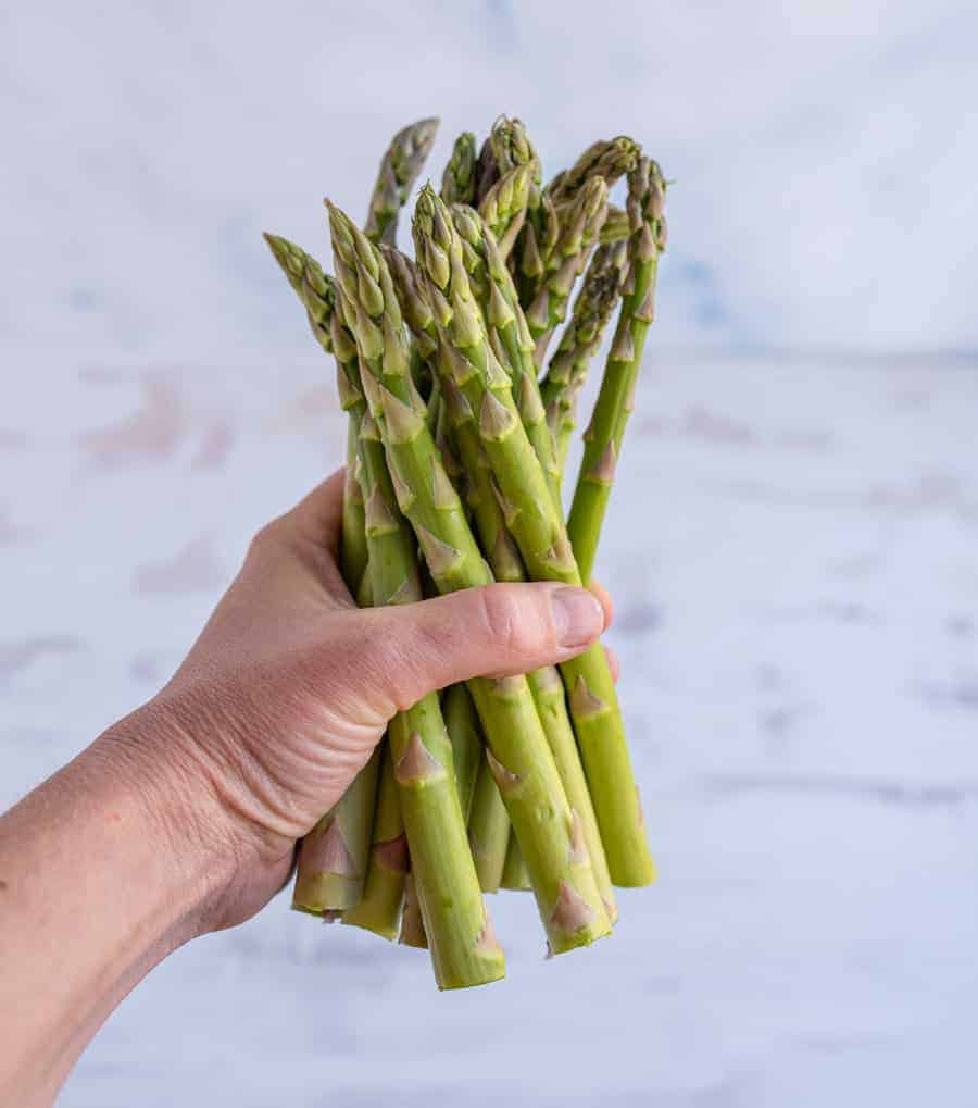hand holding a bunch of asparagus for post teaching how to preserve asparagus.