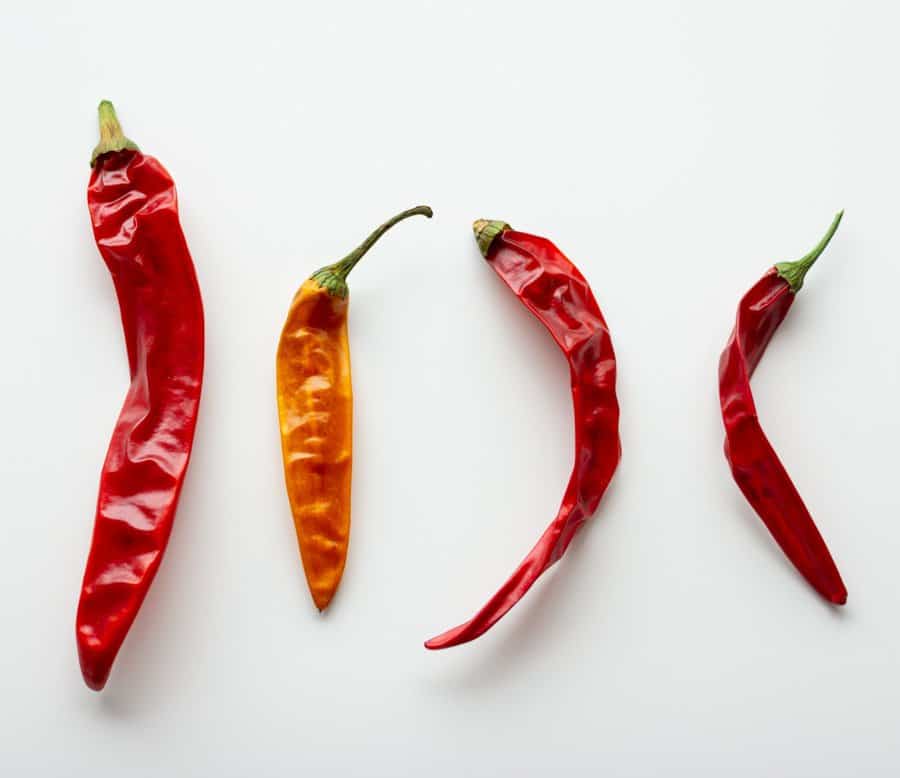four dried red chiles on a white background