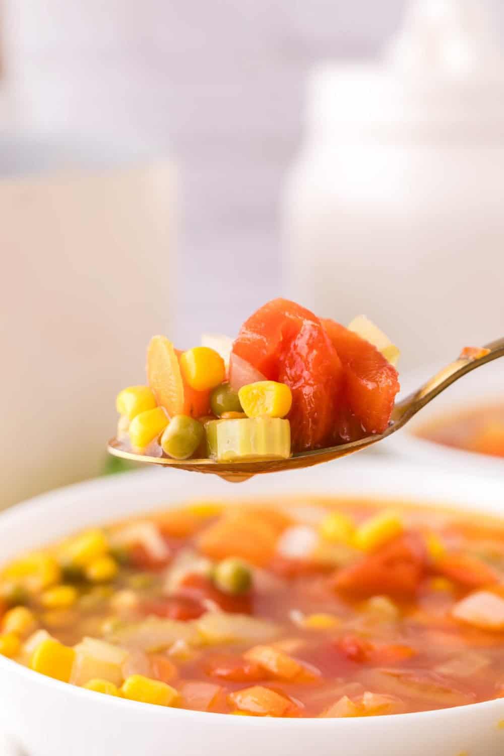 Spoonful of vegetable soup.