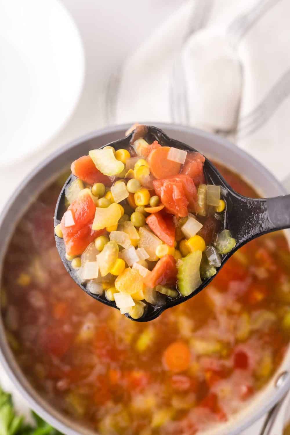 Close up view of a Ladle full of vegetable soup.