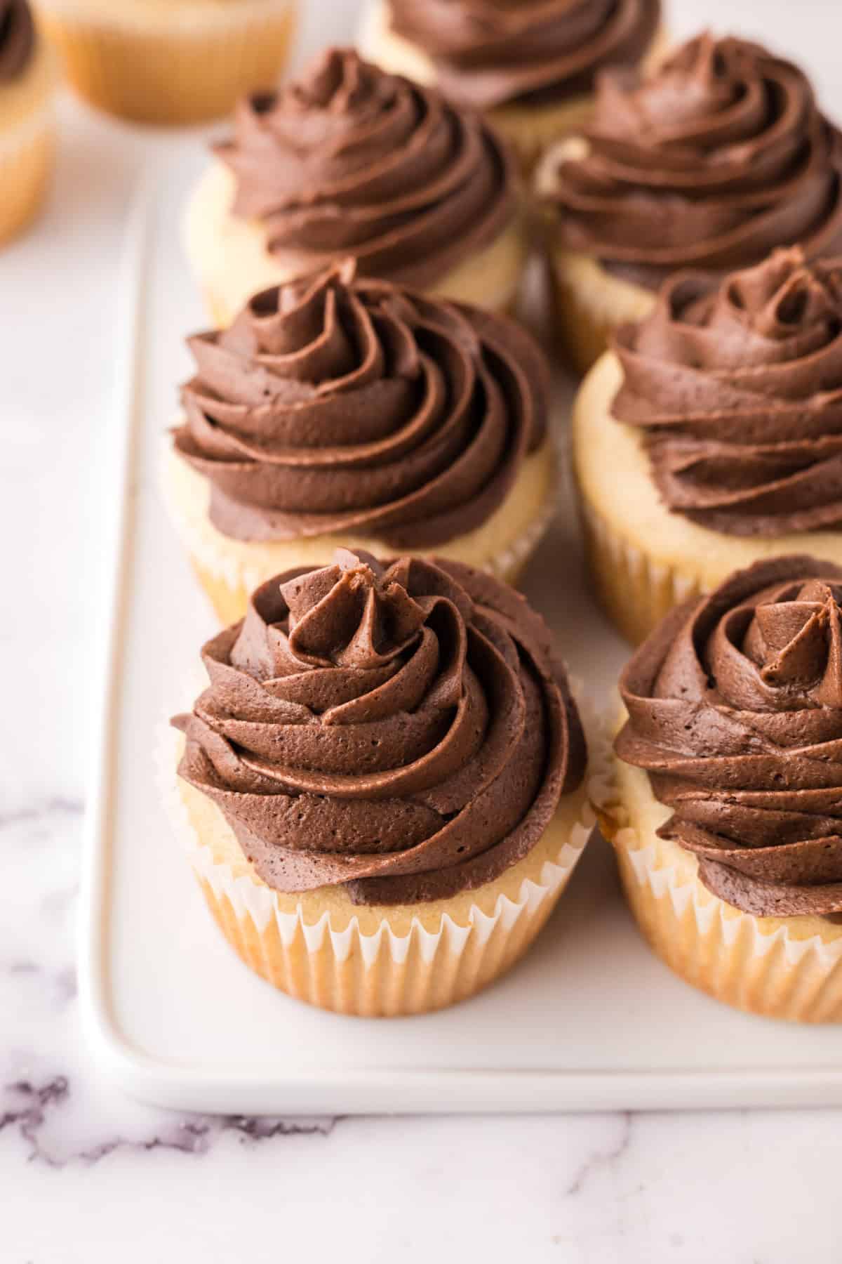 vanilla cupcakes with chocolate frosting.