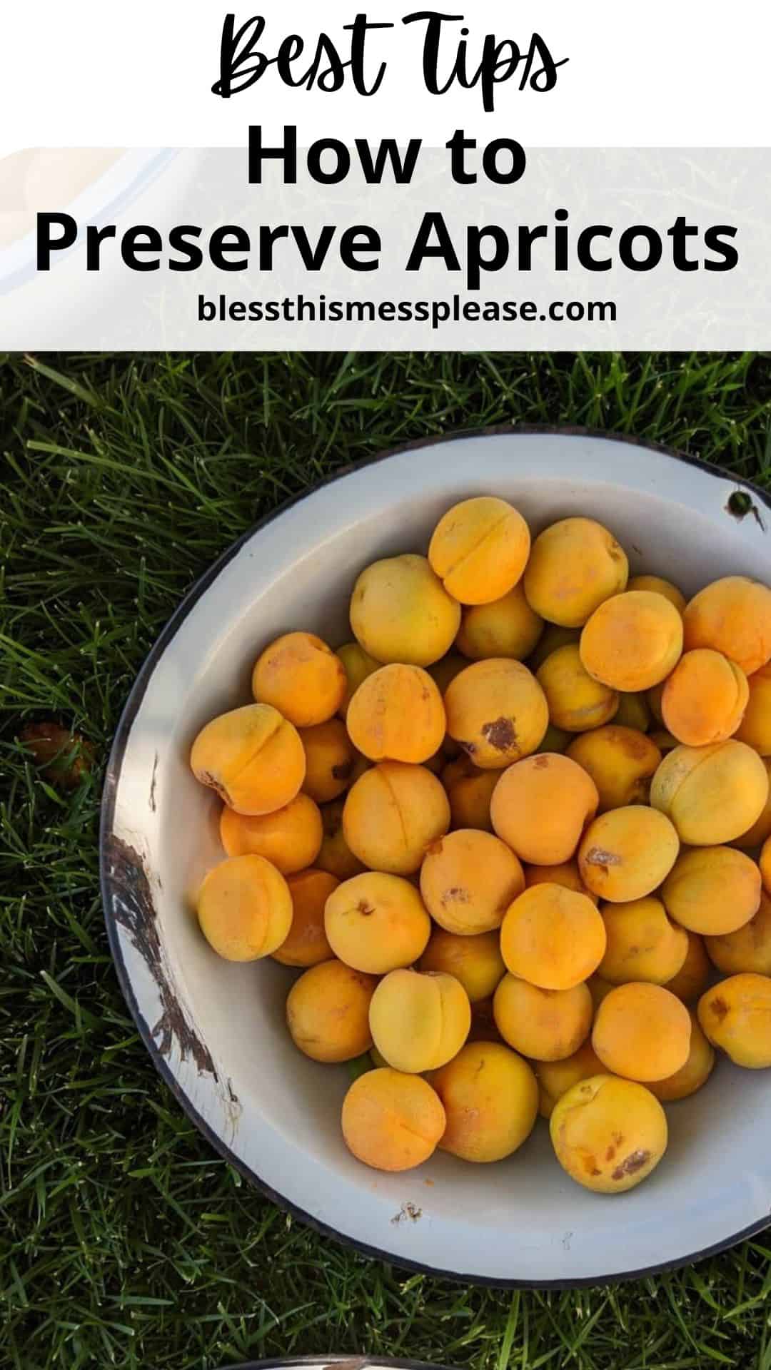An enamel bowl brimming with ripe apricots rests on the grass. At the top, the text reads: Best Tips: How to Preserve Apricots, featuring insights