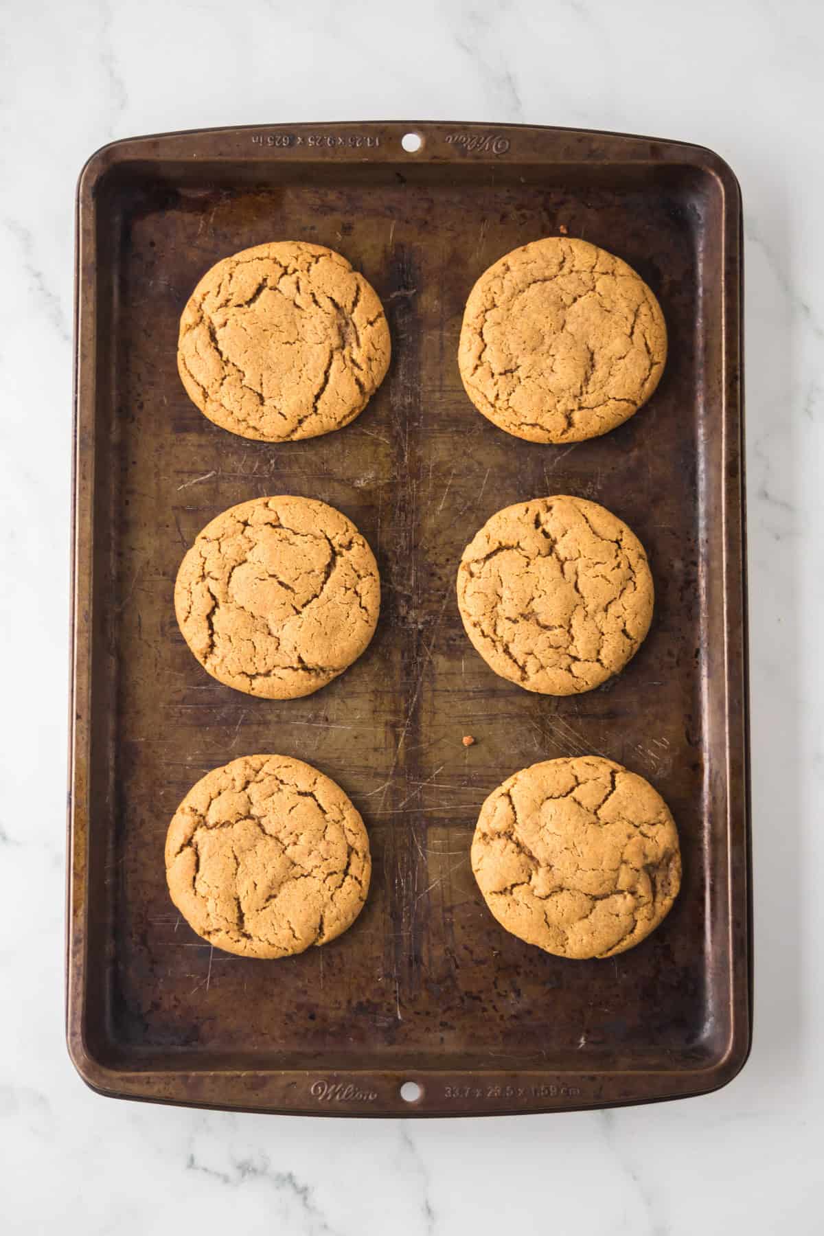 A baking tray with six evenly spaced, round cookies with cracked surfaces, on a light marble countertop.