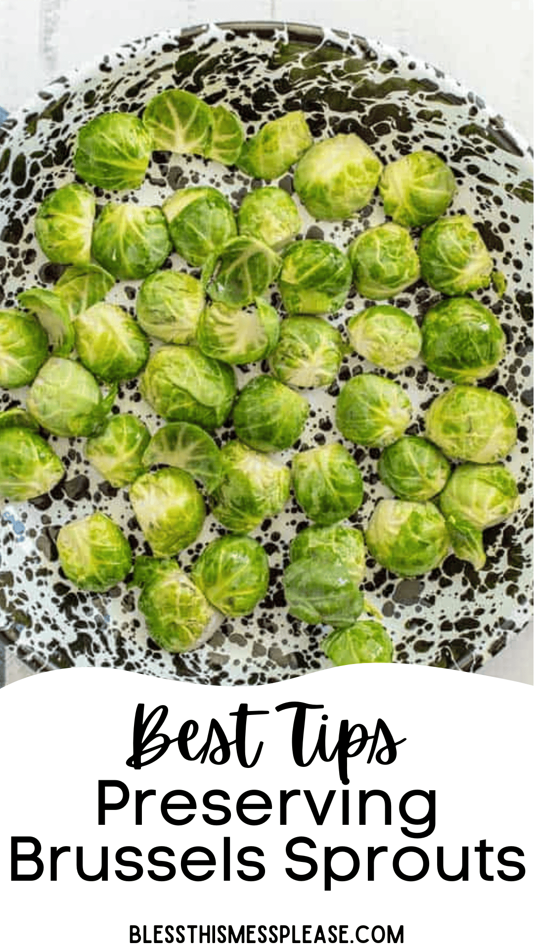 Overhead view of fresh Brussels sprouts spread out on a speckled enamel tray, with text below that reads, Best Tips Preserving Brussels Sprouts and