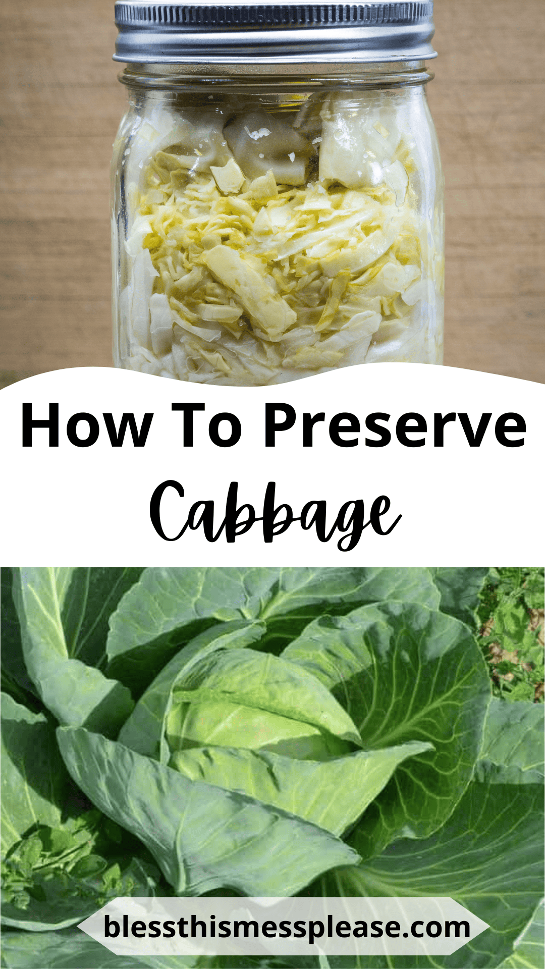 A jar of preserved cabbage sits above text reading “How To Preserve Cabbage,” illustrating the process of how to preserve cabbage, with a fresh cabbage plant growing in a garden and at the bottom.