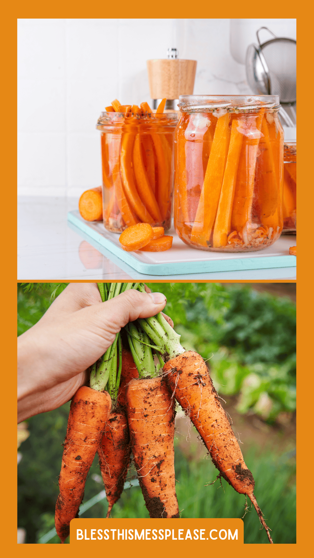 A hand holds fresh, dirt-covered carrots outdoors below a kitchen scene with glass jars of pickled carrots and carrot slices on a counter. Text at the bottom reads