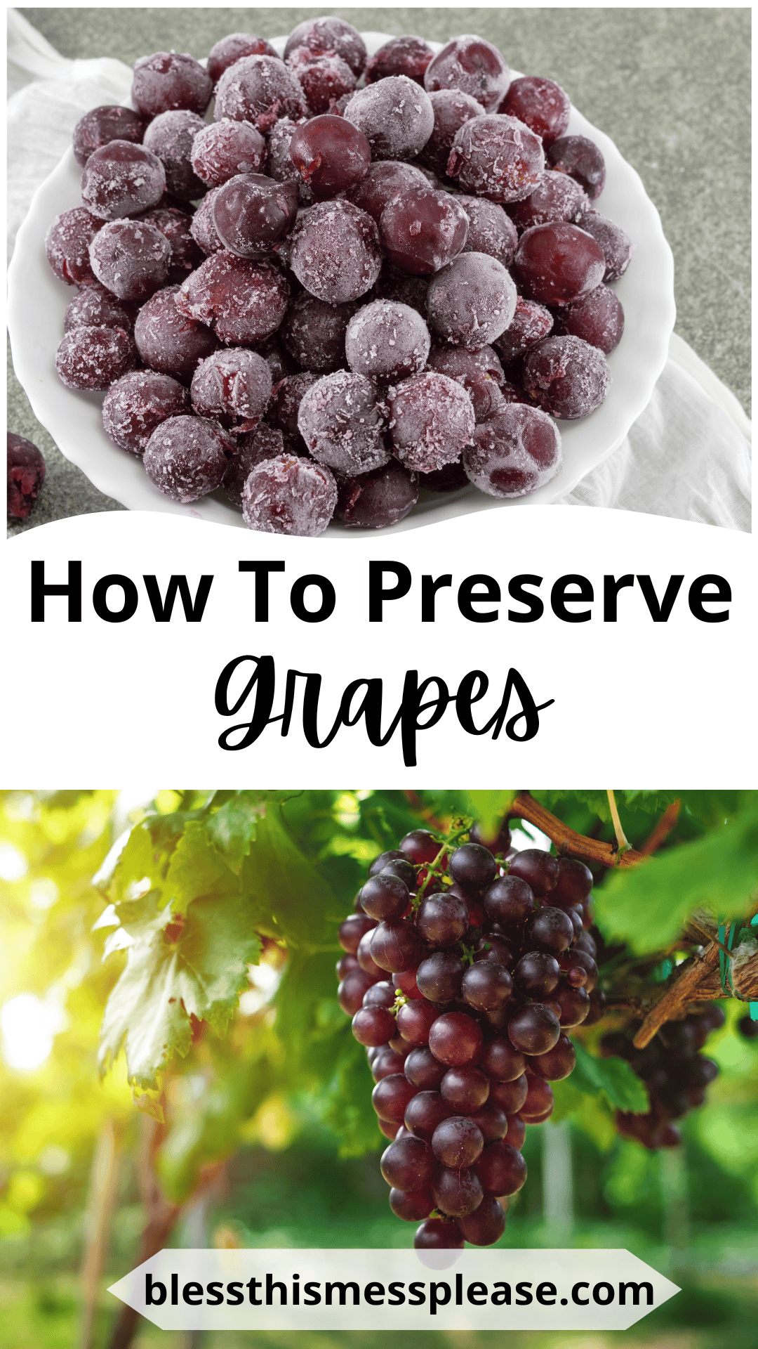 A bowl of frozen grapes sits on a cloth above text reading how to preserve grapes. Below, a bunch of fresh grapes hangs from a vine with the web address at the bottom.