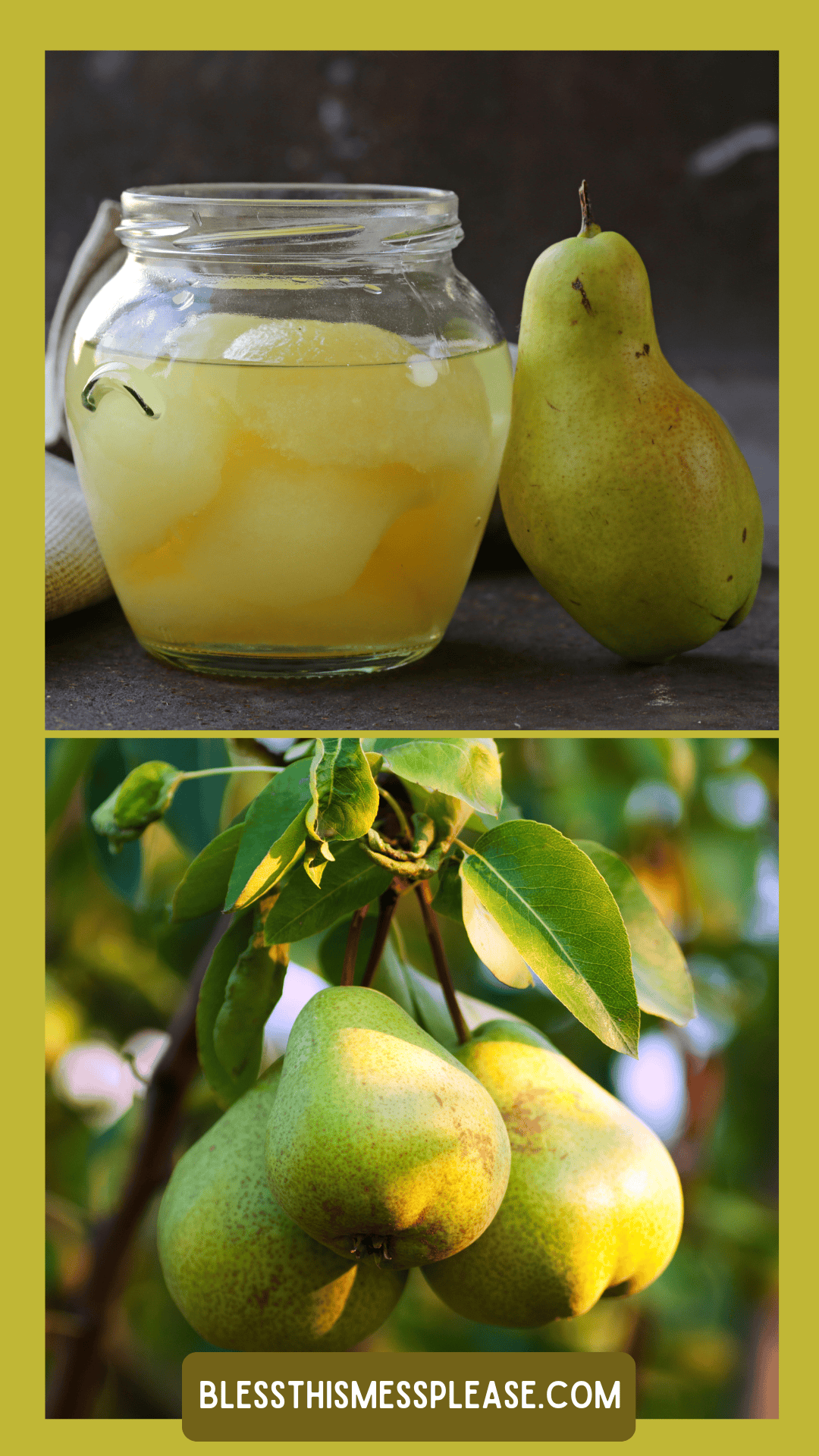 A jar of preserved pears sits next to a fresh pear on a table; below, green pears hang from a tree branch. A yellow border frames the image with the text Rcova dot com at the bottom.