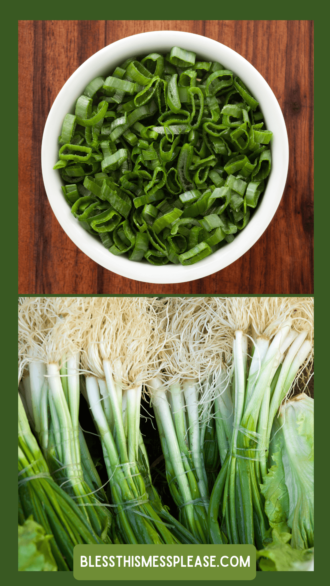 A bowl of sliced green onions sits on a wooden surface above several fresh, whole green onions with roots and leaves intact, illustrating How To Preserve Green Onions. The website is displayed at the bottom.