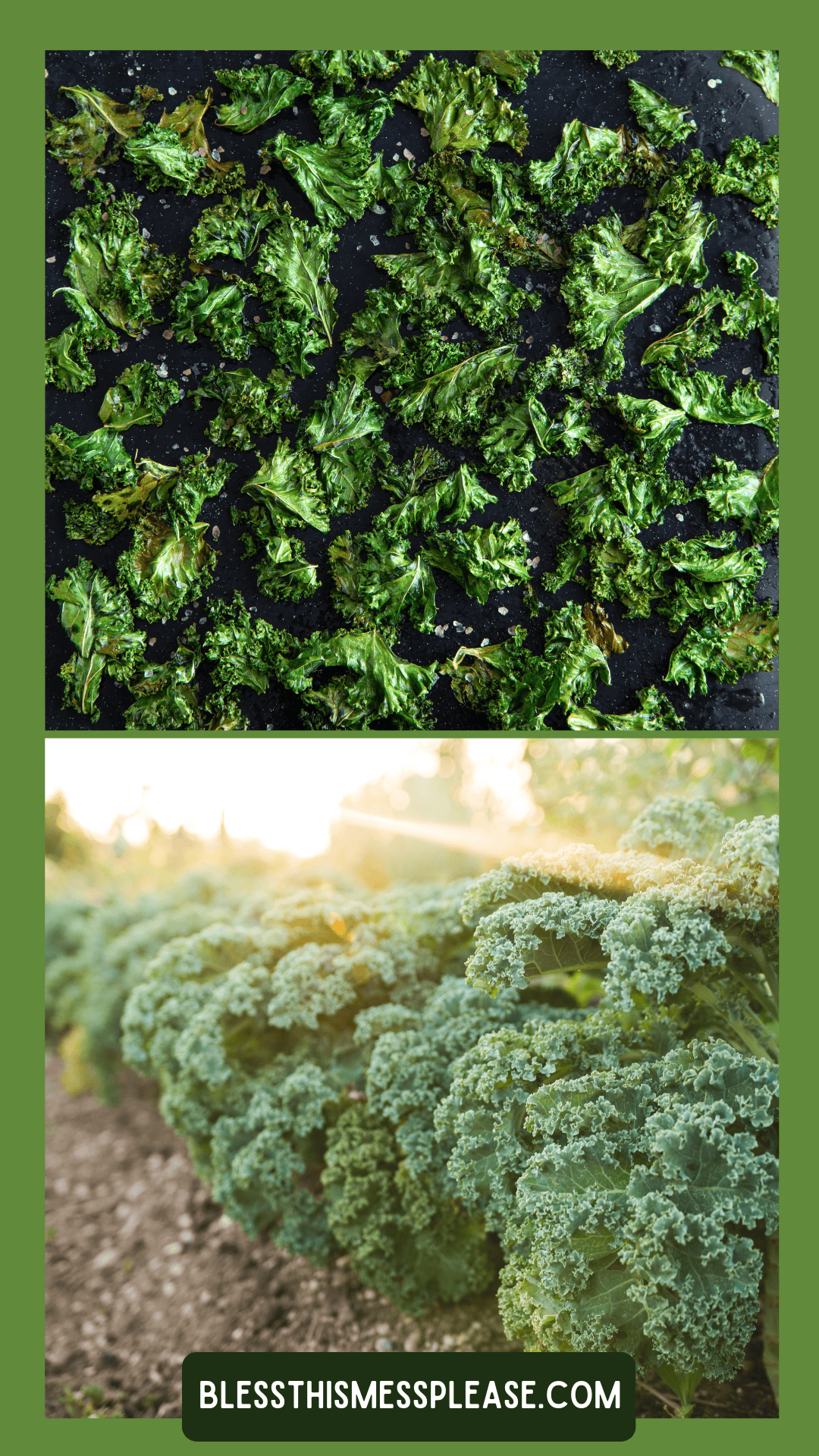 Top: Baked kale chips scattered on a baking tray. Bottom: Fresh kale growing in a garden, showing how to preserve kale from harvest to snack. Green border surrounds the images. Text at the bottom reads