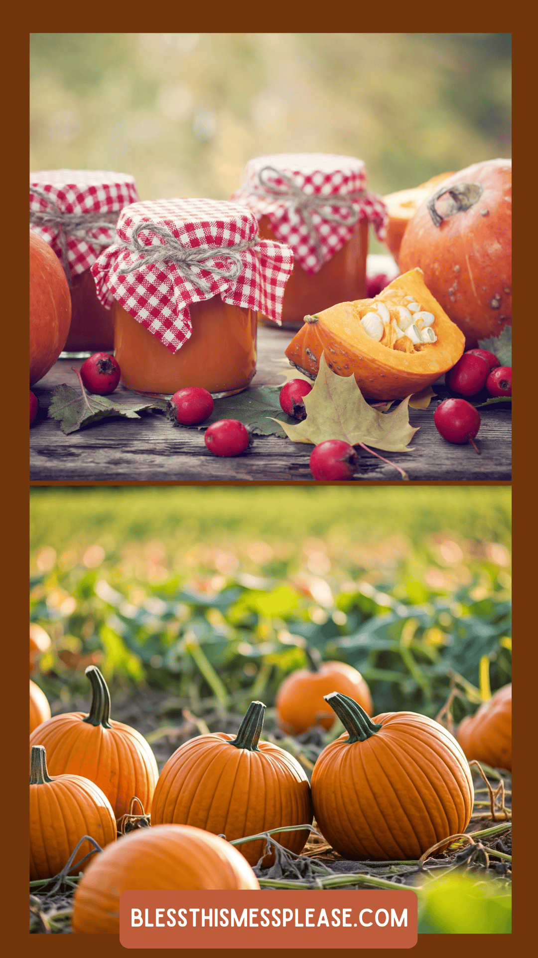 Jars of pumpkin jam with red gingham lids sit among pumpkins, rose hips, and fall leaves on a wooden surface; below, ripe pumpkins grow in a sunny pumpkin patch. Learn how to preserve pumpkins at