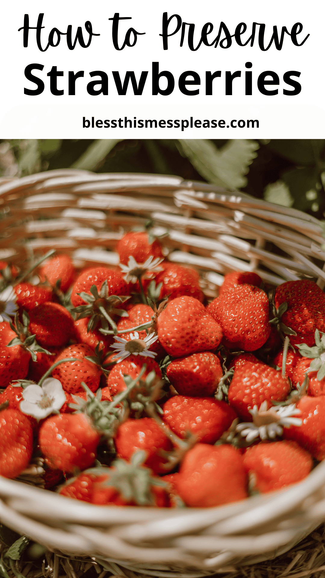 A wicker basket filled with fresh strawberries and a few white flowers, with the text how to preserve strawberries and above the basket. Discover easy tips on how to preserve strawberries at their freshest!.